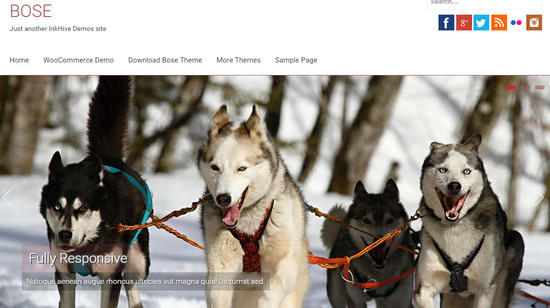 bose wp theme