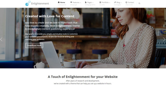 business wp theme