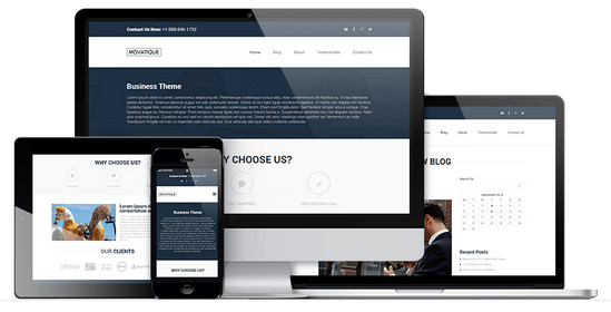 business wp