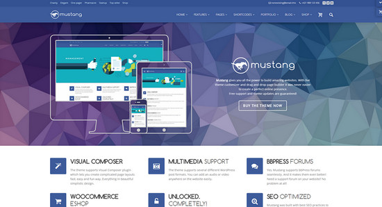 mustang theme