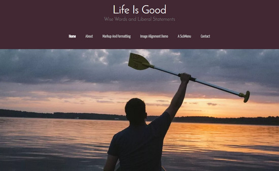 portfolio theme