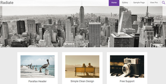 radiate theme