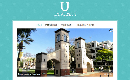 university theme