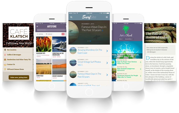 wptouch-pro
